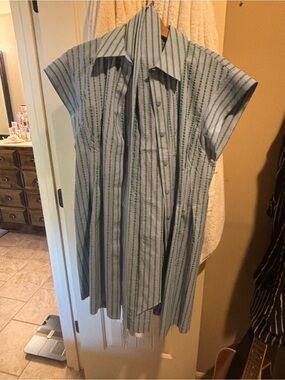 Tuckernuck Light Blue and Green Striped Button-Front Shirt Dress
